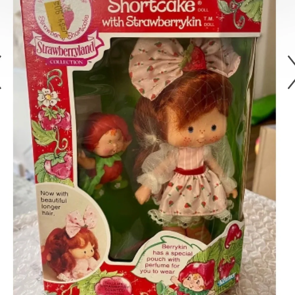 Vintage NRFB strawberry shortcake Berrykin doll